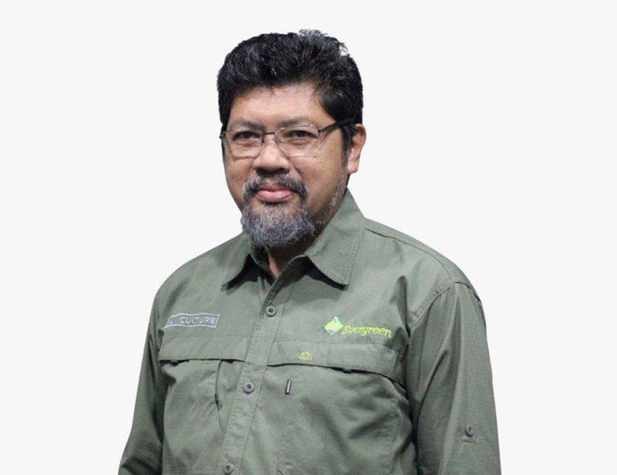 Mengintegrasikan Konservasi Spesies Pohon Lokal ke dalam Reklamasi Pasca-Tambang