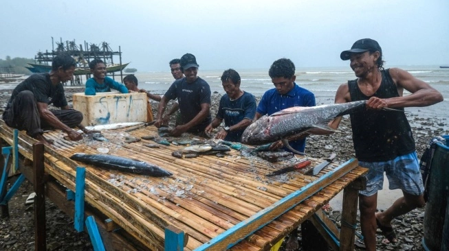 Harita Nickel Rehabilitasi 1.765 Hektare Hutan Lindung di Maluku Utara