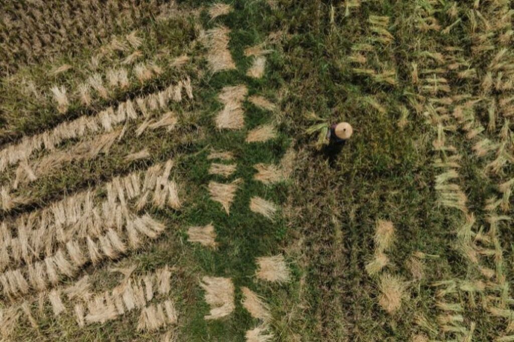 Menanam Harapan di Sekitar Tambang