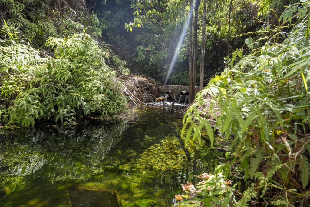 Merawat Sumber Air Kawasi di Pulau Obi demi Keberlanjutan Generasi Mendatang