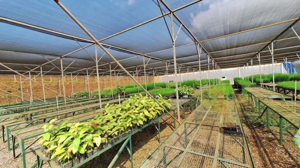 Perkuat Praktik Zero Waste Mining, Harita Nickel Ubah Limbah Nikel Jadi Media Tanam