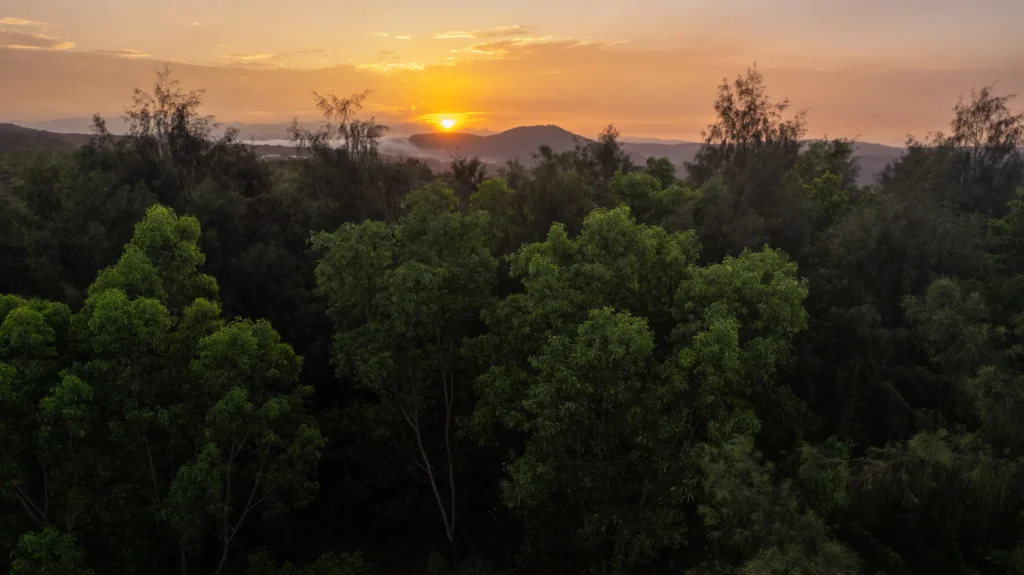 Terus Mendorong Integrasi ESG secara Menyeluruh dalam Rantai Nilai Perusahaan.