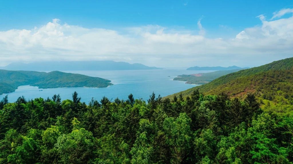 Memperkuat Tata Kelola Air: Komitmen Kami terhadap Transparansi dan Praktik Pertambangan yang Bertanggung Jawab di Pulau Obi.