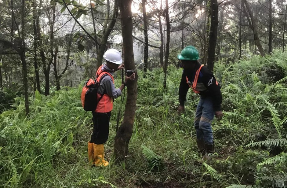 Harita Nickel Lestarikan Flora dan Fauna Endemik lewat Pemantauan dan Edukasi Karyawan