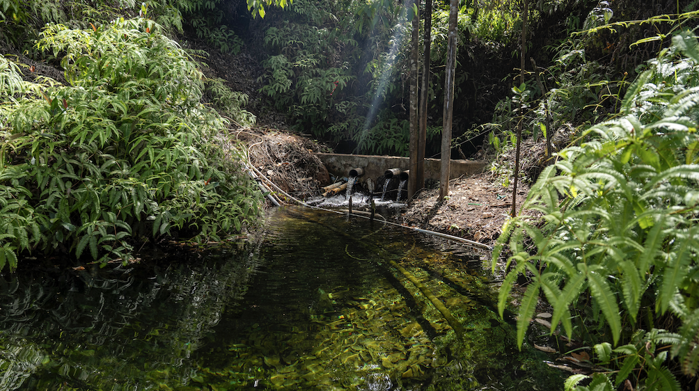 Konservasi Mata Air Kawasi untuk Masa Depan Kehidupan