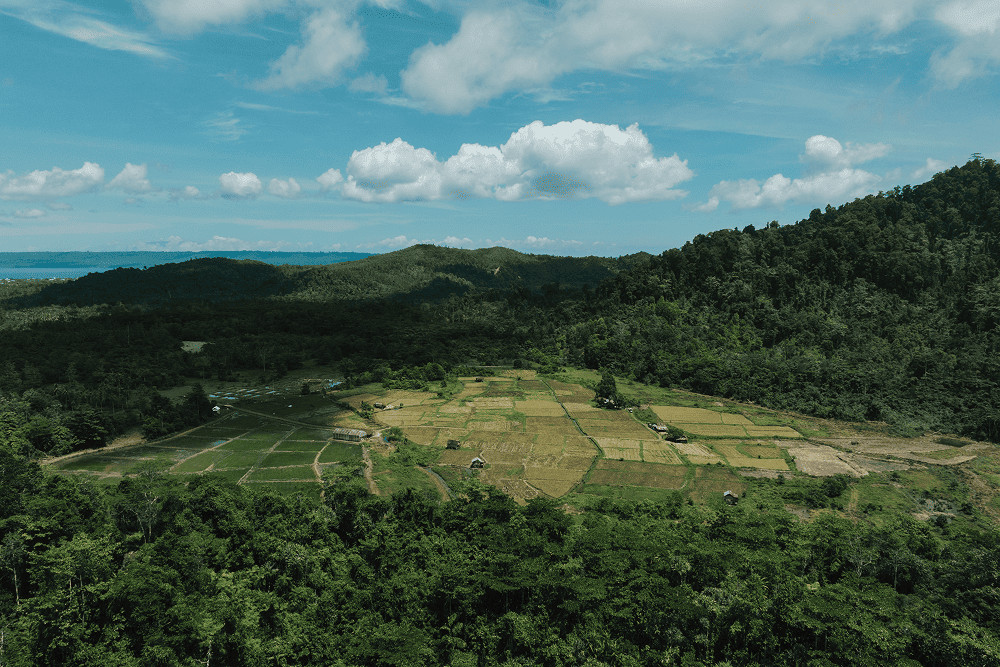 Ketika Pertanian Rakyat Berdampingan dengan Industri Nikel