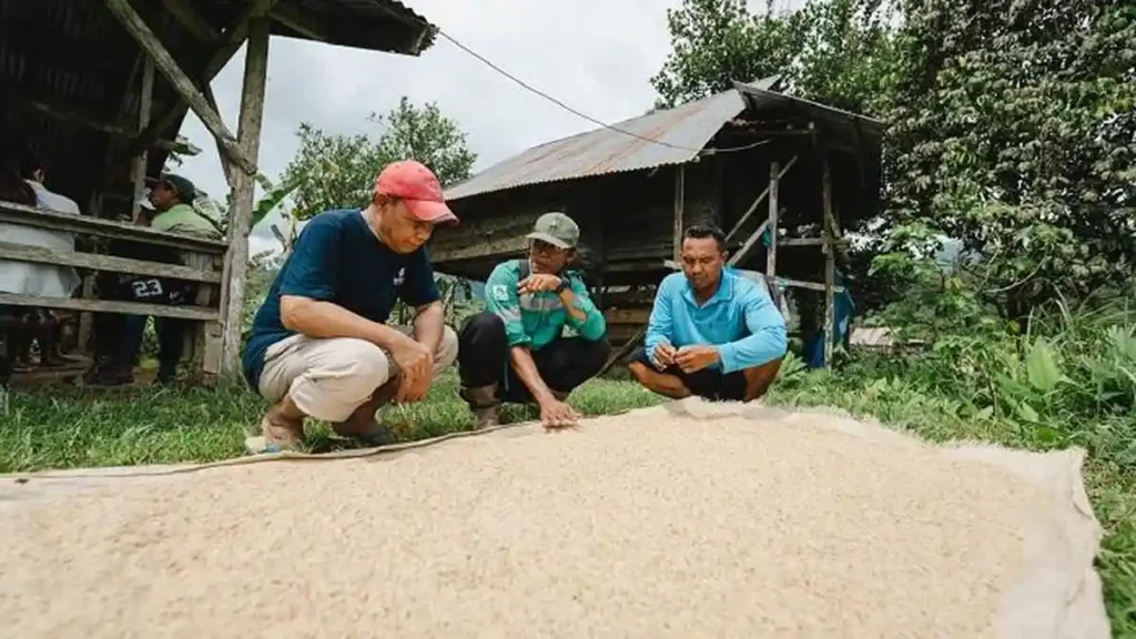 Perkumpulan Telapak Observasi di Pulau Obi Maluku Utara, Amati Fasilitas Kesehatan Hingga Pendidikan
