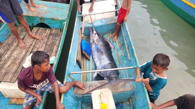 Di Tengah Perdebatan Nikel, Nelayan Obi Tetap Melaut