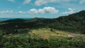 Sinergi Petani-Industri, Ciptakan Ketahanan Pangan di Lingkar Tambang
