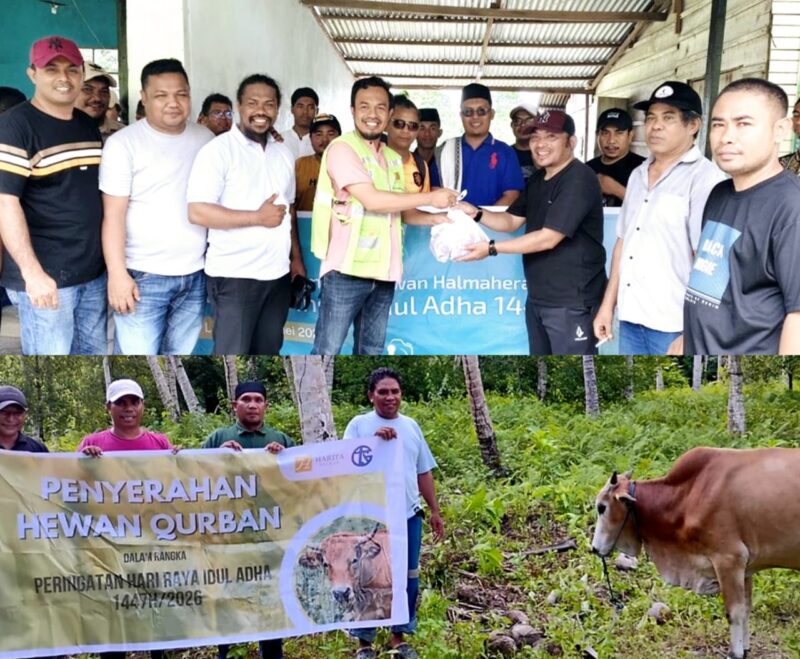 Iduladha 1447 H, Harita Nickel Salurkan 46 Hewan Kurban di Pulau Obi Hingga Ternate