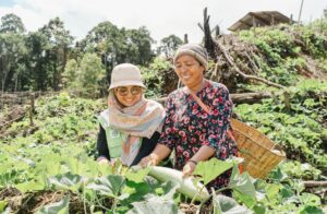 Tak Banyak Tersorot, Perempuan di Obi Kelola Kebun Hortikultura Mandiri