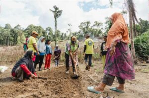 Kebun Hortikultura Jadi Ruang Kemandirian Perempuan di Pulau Obi
