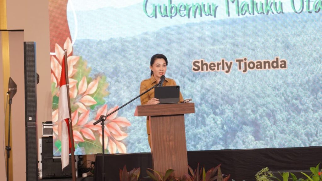 Di Tengah Pertumbuhan Tinggi, Gubernur Sherly Ingatkan Pentingnya Akses dan Kesempatan