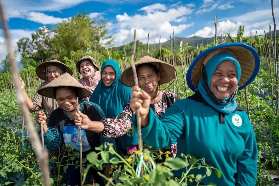Hilirisasi Buka Peluang Ekonomi Baru bagi Warga Pulau Obi
