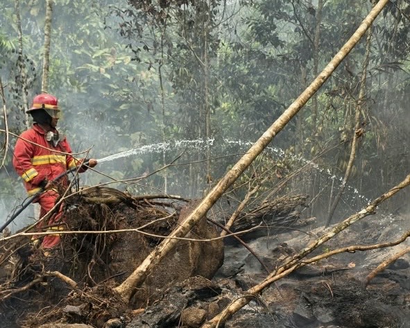 Harita Nickel Jadi Garda Terdepan Hadapi Karhutla di Pulau Obi